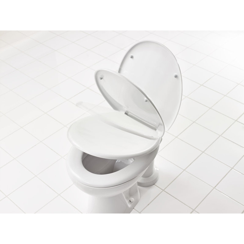 Raised Toilet Seat