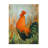 Animals Cockerel On Canvas Print-1912827960