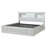 Covertt Solid Wood Bookcase Storage Bed-26241473-112517019