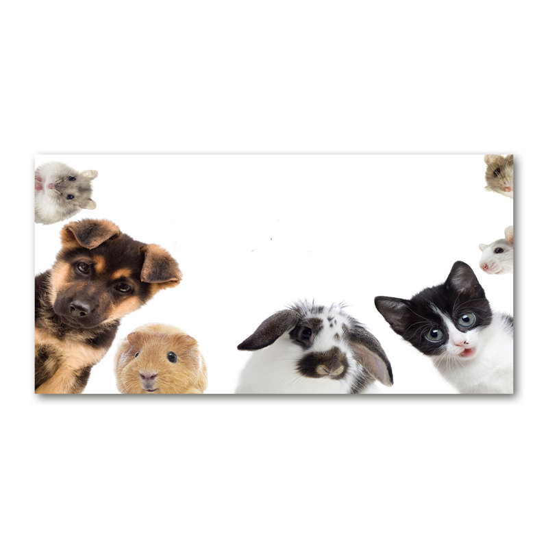 Pets - Wrapped Canvas Print