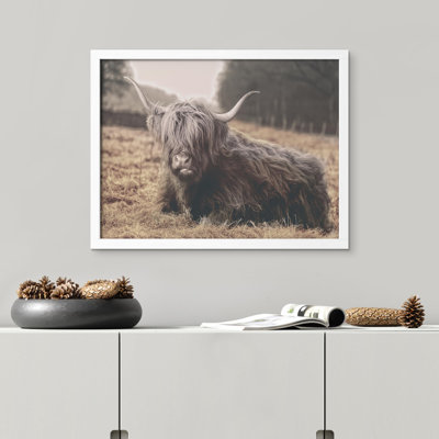 «Vache rétro Shetland, vache, bovins, animaux de la ferme» sur papier