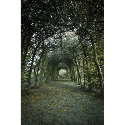 Enchanted Garden by Susandaniels - Wrapped Canvas Print