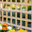 Elevated Planter