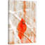 Parvez Taj - Wrapped Canvas Print-16671052