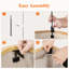 Bhargava Fabric Laundry Hamper with Handles