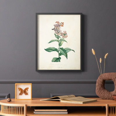 Traditional Botanical II Framed Print - Solid Wood
