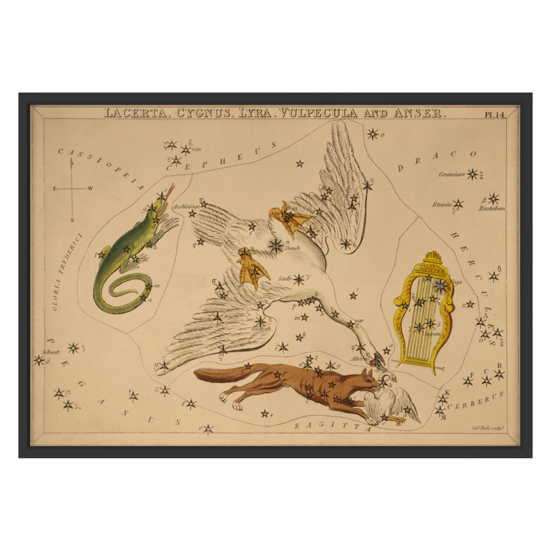 Lacerta Print by Grand Archives, 32" H x 45" W, Black Framed