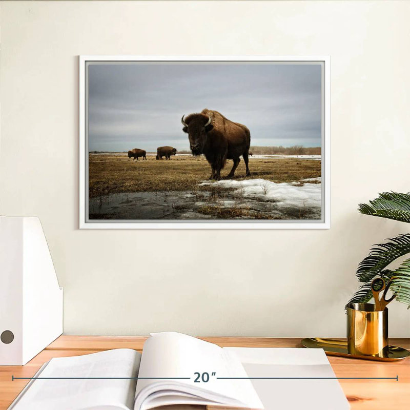 Bison Cloud Day, Cadre flottant blanc, 13 po x 9 po