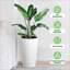 Pot Planter