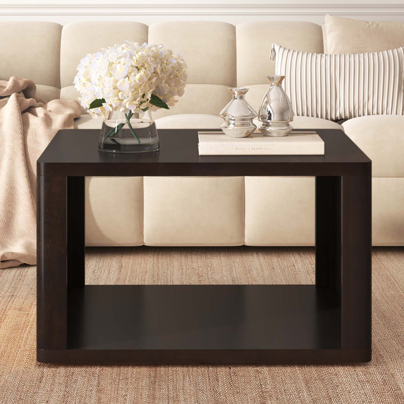 Table basse carrée pour le salon, table basse avec rangement, table centrale à 2 niveaux avec compartiment de rangement semi-ouvert de 30,8 po