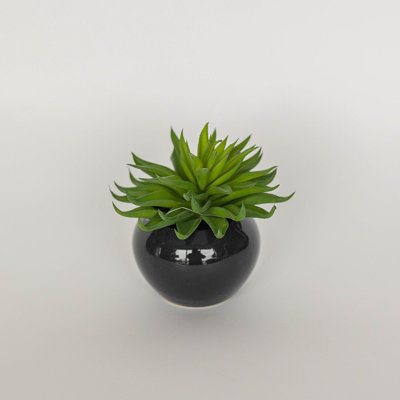 Succulent In Ceramic Pot Faux Plants And Trees