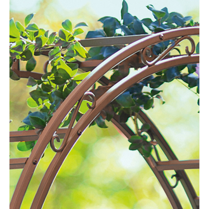 Tonnelle de jardin Montebello, Bronze foncé