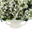 Budding Hydrangeas in Ceramic Vase