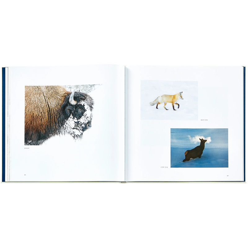 Yellowstone: A Land of Wild and Wonder Leather Bound Special Edition Coffee Table Book