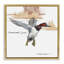Art mural sur toile flottant, "Canvasback Duck Flying" encadré par Jadei-308223538-308223542
