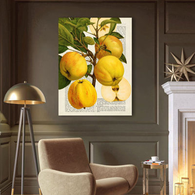 Seasonal Fruits, Apples 1 Piece Wrapped Canvas Painting