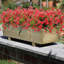 Fleurs artificielles-1398364678