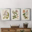 «Vintage Flowering Trees II», ensemble de 3 impressions sur toile encadrées-428839000-428839001