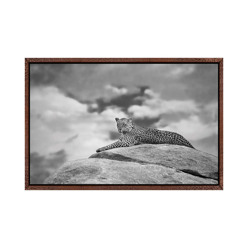Leopard on a Kopje 1 Piece Wall Art on Canvas, 45.72cm H x 66.04cm W x 3.81cm D, Classic Brown Wood Floater Framed