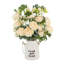 Ranunculus Arranged in a Ceramic Pot