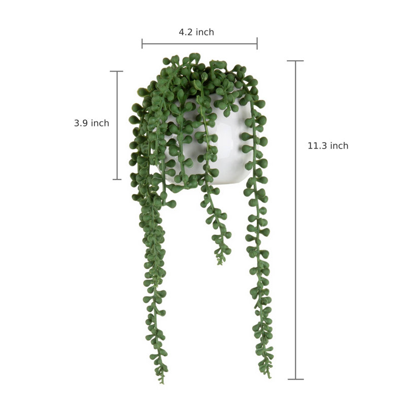 2 Piece Artificial Succulent in Pot Wall Décor Set, White