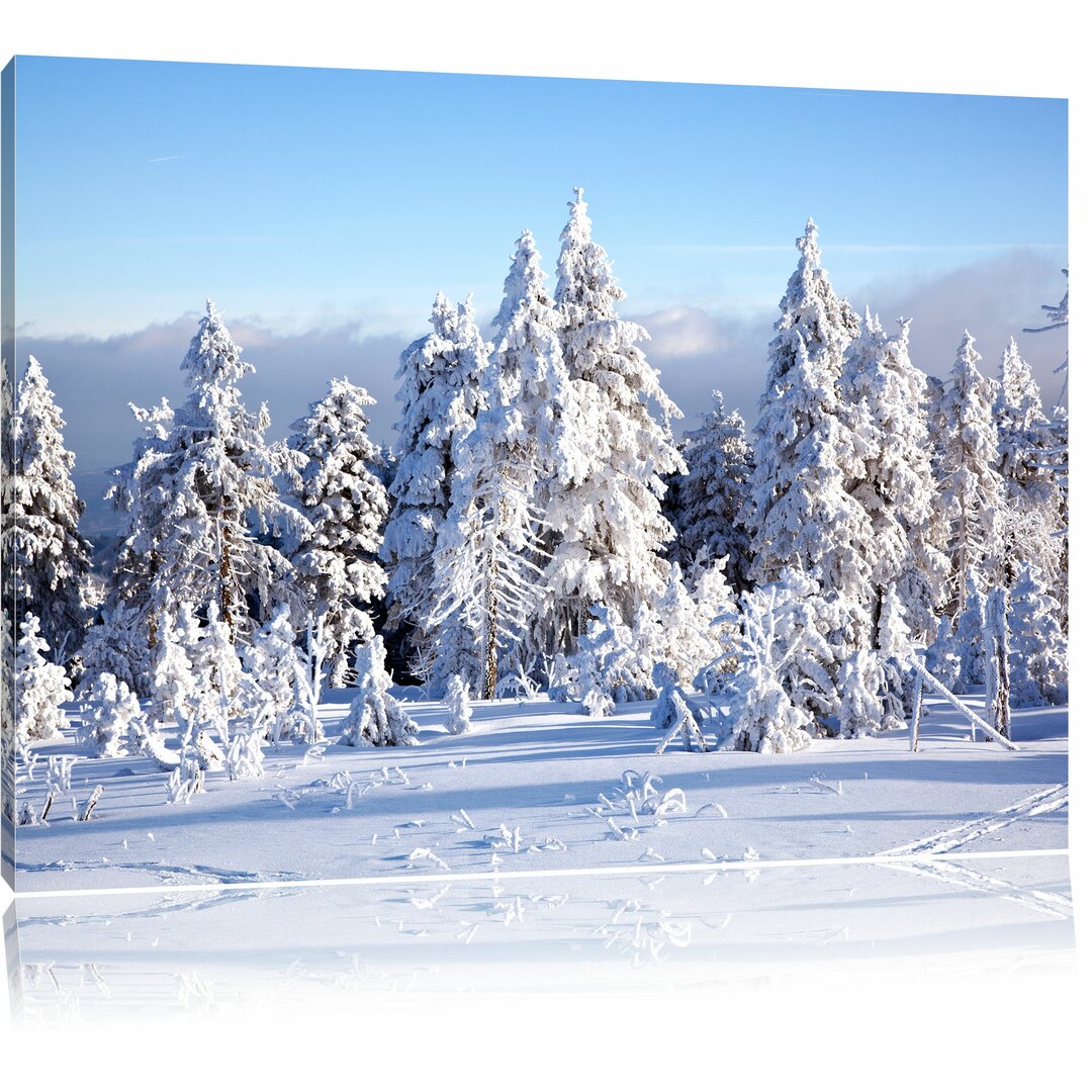 Leinwandbild „Winterwald“, Fotodruck