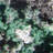 Landscape & Nature Crystal