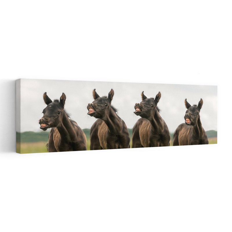 «Laughing Foals Playful Contemporary Horse Nature», art mural, H 36 po x l 12 po