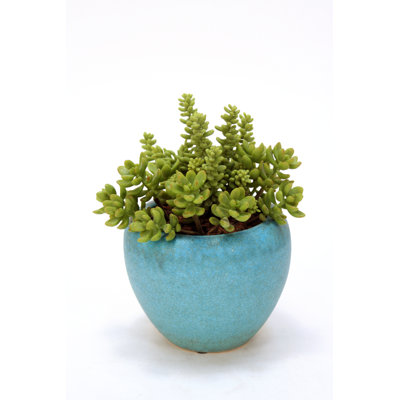 Succulent agave artificiel 4" en pot