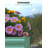 Steel Raised Garden Bed-498286319-498286318-498286317