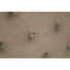Starbuck Upholstered Ottoman Storage Bed-647952823-648002263