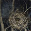 Nest III Print by Sarah Atkinson-26948098-26948100