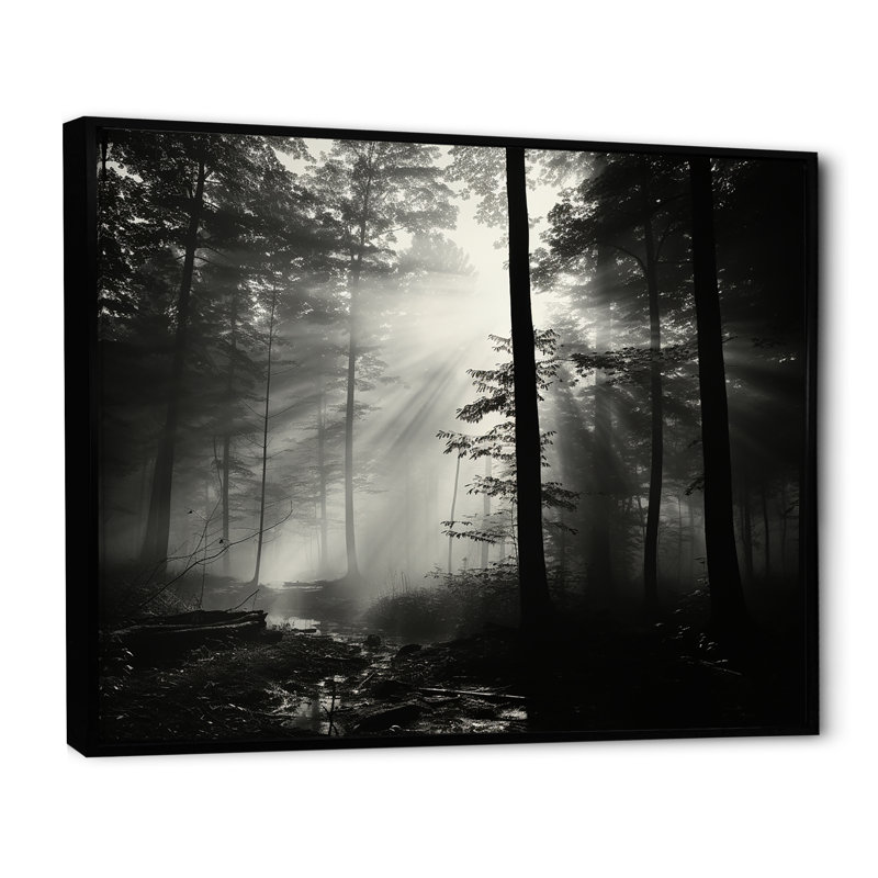«Black and White Forest Silence», photographie encadrée, 34" H x 44" W, Cadre flottant noir