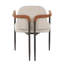 Denver Modern Dining Chairs With Iron Frame-478924060