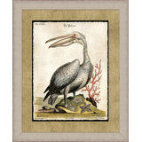 The Great Pelican 2 Painting