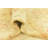 Mullings Beige Rug