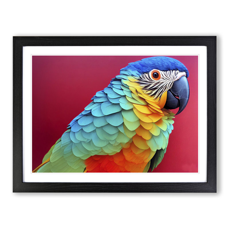 Colourful Parrot Portrait Vol.3 1 Piece Single Picture Frame Wall Art, 46cm H x 64cm W x 2cm D, Black Framed
