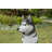 Siberian Husky Sitting