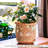 Annalysia Owls Ceramic Planter with Drainage Hole and Saucer