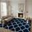 Geometric Power Loom Navy/White Area Rug-1741721486