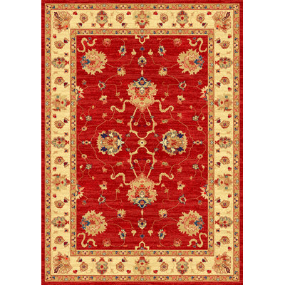 Oriental Wool Area Rug