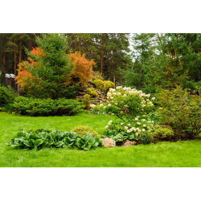Landscaped Lawn Of Plants And Artificial Rocks - Wrapped Canvas Photograph