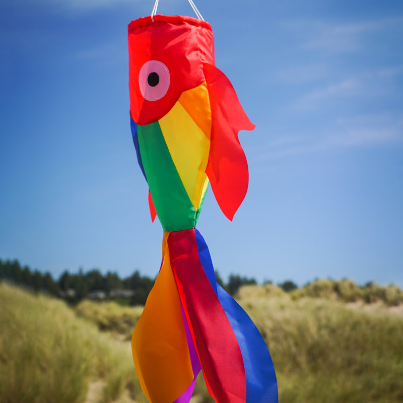 30-Inch Rainbow Damsel Fish Windsock with Applique Design