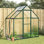Cesarina 5.5 Ft W x 3.5 Ft D Greenhouse