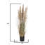 60 po Faux herbe de pampa