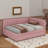 Aynslie Full Size Upholstered Daybed with 2 Storage Drawers Sofa Bed Frame-1071604435