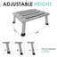 Aluminum Step Stool-1851159381