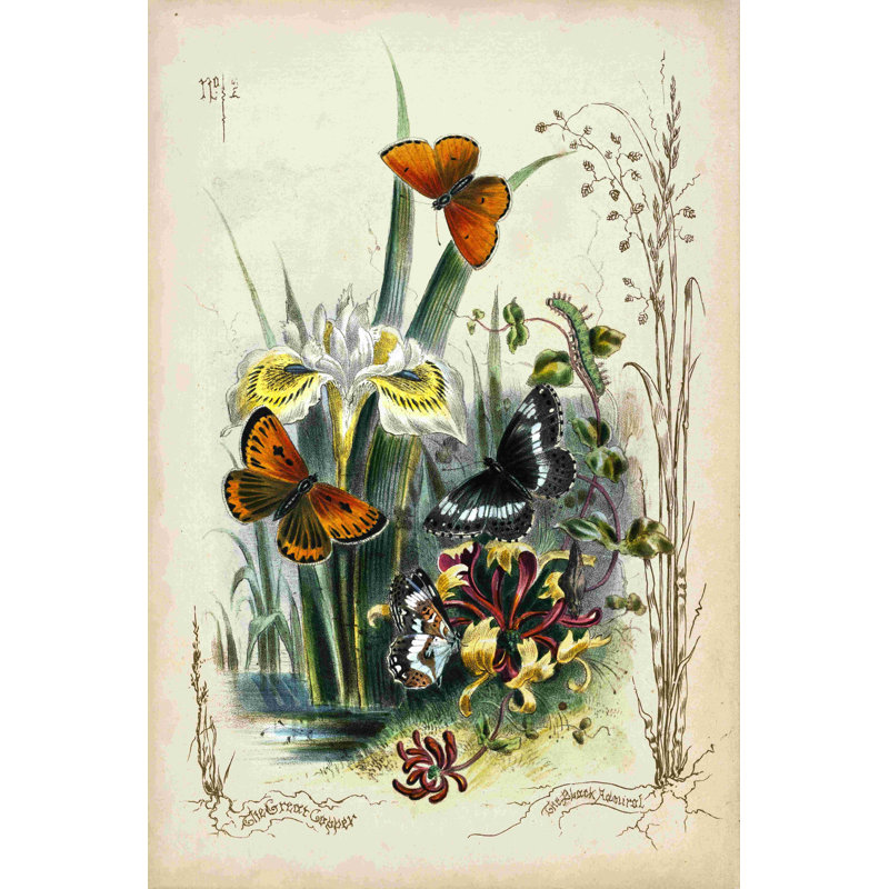 Victorian Butterfly Garden II, H 18 po x l 12 po