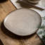 Speckle Glaze Dinner Plate Oatmeal (4Pk)
