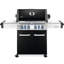 Barbecue au gaz autoportant de 80000 BTU à 4 brûleurs Napoleon-39860279-39860281